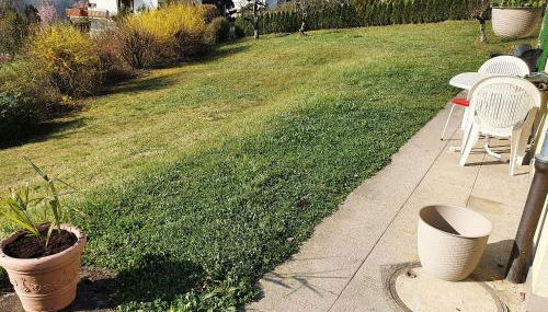 Ferienwohnung Seegarten - Foto 3, Garden