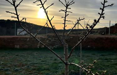 Casa De La Era - Foto 61