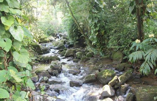 Dingo - Refugio romântico em meio à natureza - Photo 8