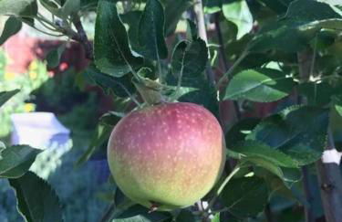 Red Rock Escape - Cozy King Bed Studio & Gardens, Trails, Views, Red Rock Pass - Foto 54