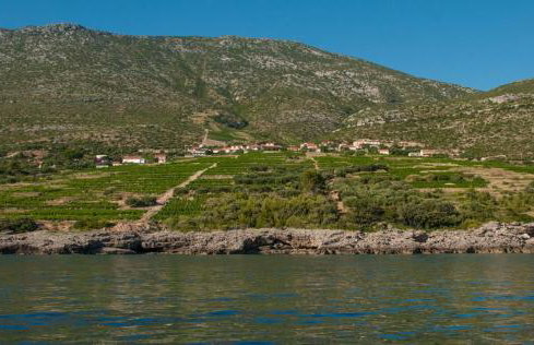 Holiday Home Biserka - Photo 31