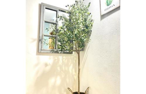 Pontevedra Apartments - Peregrina Family Suite - Foto 5