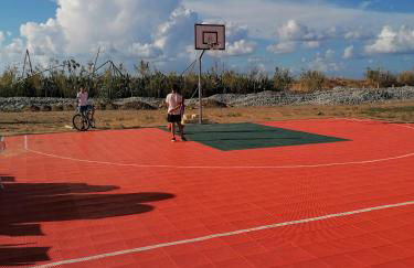 Stella marina - Foto 20