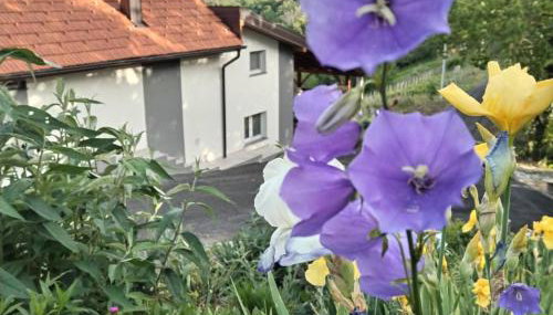 Holiday Home Martin - Foto 3, Garden