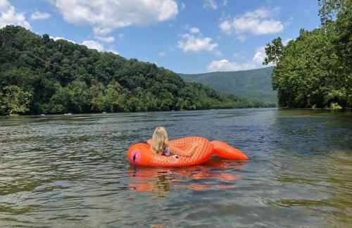 Bear Bluff- pet friendly home on the river! - Foto 16