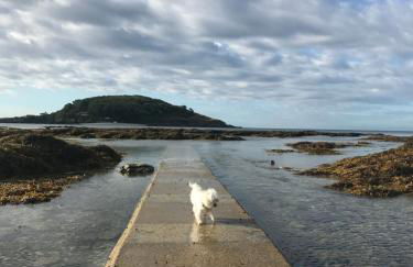 Sea Spirit - Sweeping Sea Views first floor spacious modern apartment in Looe- with FREE parking! - Foto 37