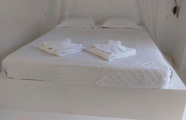 Golden Star Praxitelous - Foto 47