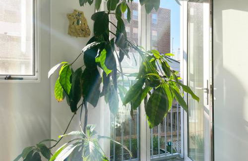 Gallery Suite in Art Tower - Foto 8