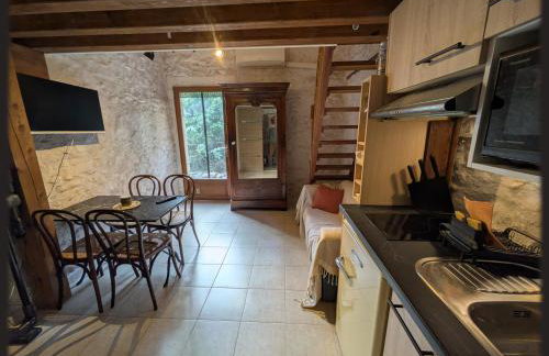 Le Mas des Condamines - Photo 6