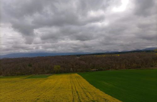 Apartamento Golf Buenas Vistas - Foto 60