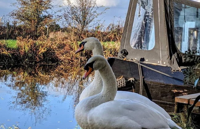 Narrowboat With Hot Tub, Spa, Cruising And More - Photo 15