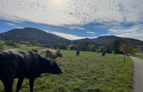 FeWo am Ortsrand von Roßwangen - Foto 8