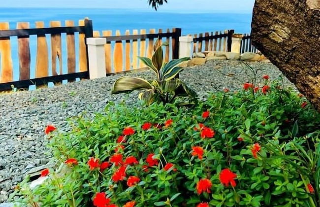 Castara Inn - Photo 1