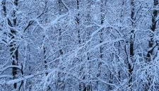 Ferienwohnung Vido - Nordhalben - Foto 2