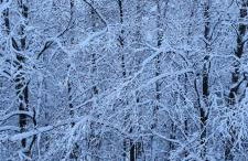 Ferienwohnung Vido - Nordhalben - Foto 2
