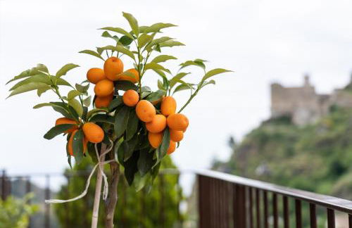 Mirador Savoca - Foto 24