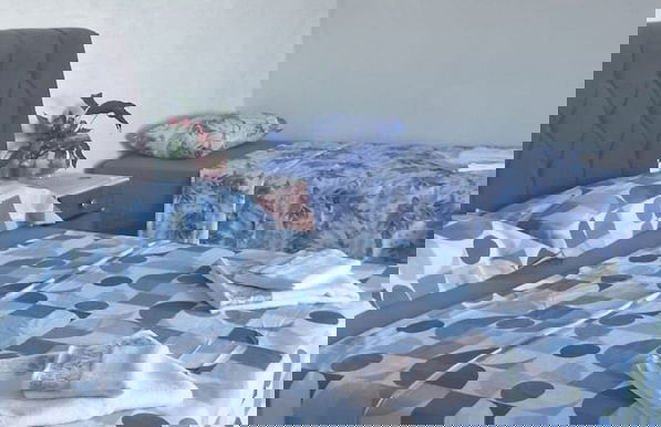 Refúgio Farol Ponta do Catalão - SC - Photo 5