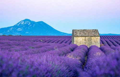 Mazet Magnan, Rustic Luxury in Provence - Foto 21