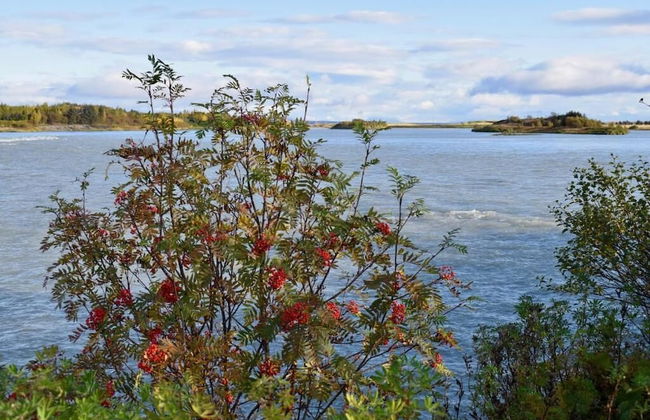 Arctic Nature Hotel - Foto 30