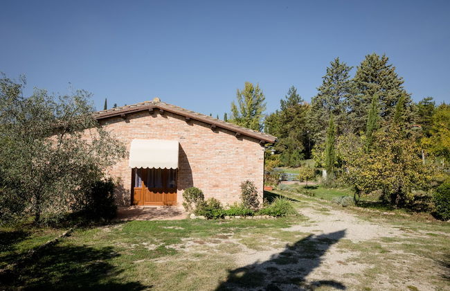 Fattoria Sant'Andrea - Photo 61