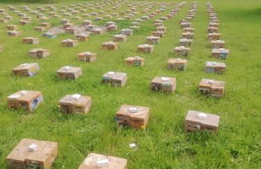 grottedisileno - Foto 6