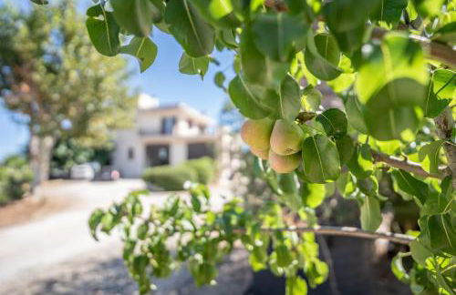 La Mery Giò House - Fasano - Foto 29