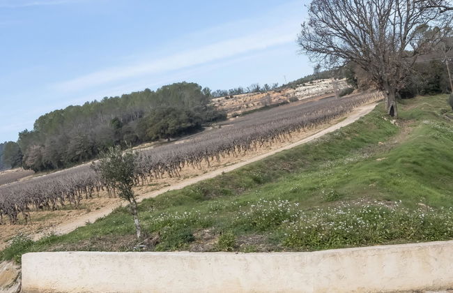 La Bergerie de Sainte Croix - Foto 19