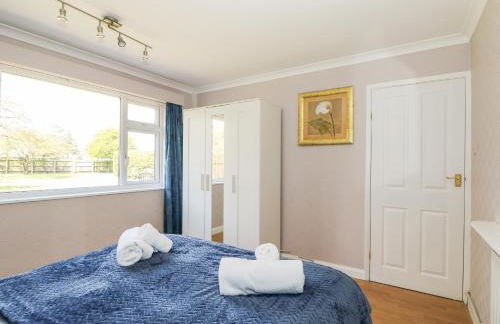 The Hemploe - Foto 20