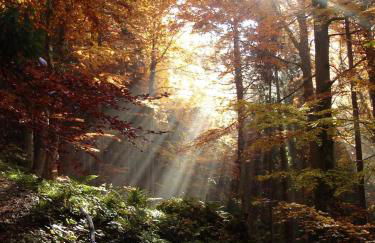 Top! Wohnung direkt am Fuß der Berge im Oberallgäu - Foto 27