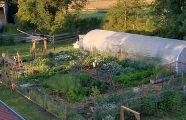 Wunderschöne 3-Zimmerwohnung auf dem Bauernhof - Foto 18