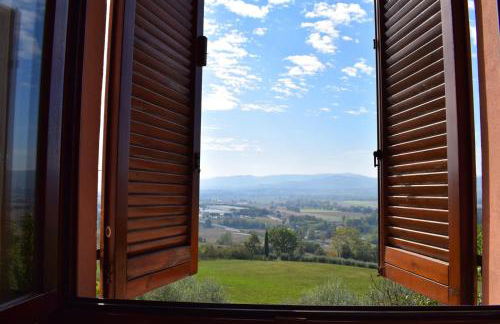 AGRIFOGLIO - Photo 21