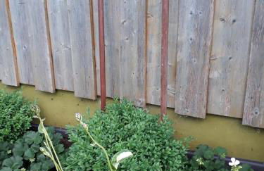 Isoldes Landhaus - Foto 45