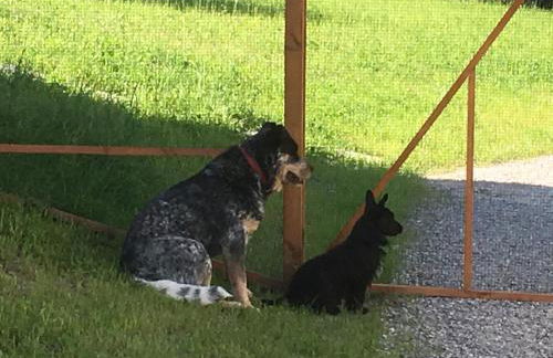 Agriturismo la Derta - Foto 11