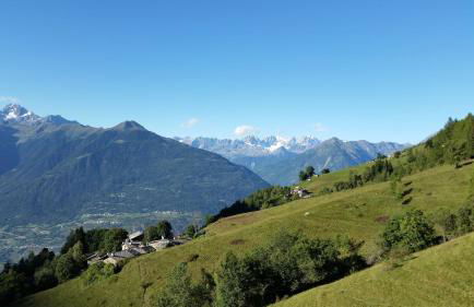 Agriturismo Stella Orobica - Foto 10