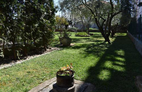 Apartman DODO - Foto 26
