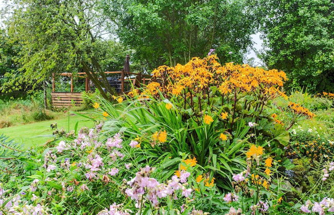 Vintage Holiday Home in Welshpool With Garden - Foto 32