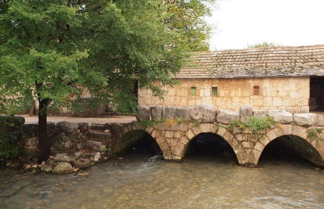 Marija - Rooms With Pool - R3 - Photo 15