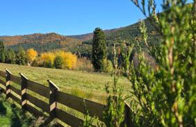 Hasiorówka Dom w górach z jacuzzi w cenie - Foto 7