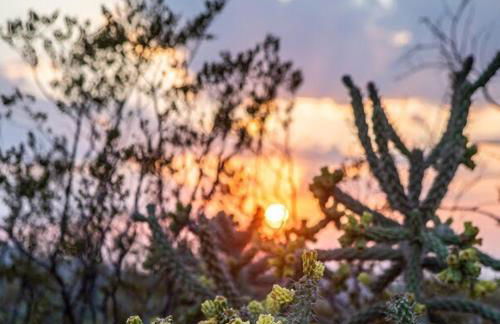 The Hollywood Cowboy - Foto 13