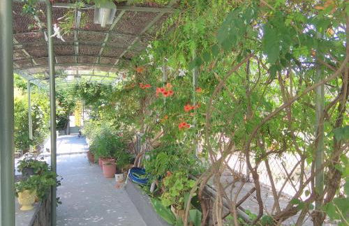 Finikas Rooms - Foto 54