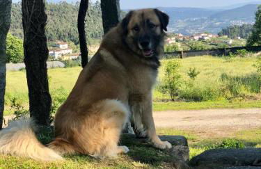 Casa da Ventozella - Photo 18