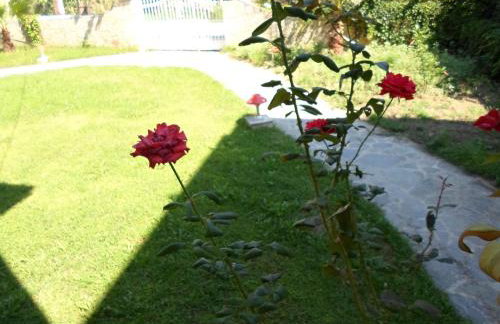 Hotel Villa Basil - Photo 18