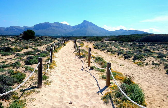 Vila Ca Shermano in Urbanitzaci Montferrutx - Photo 9