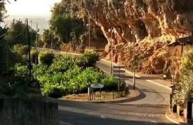 La Buganvilla, descanso entre olivares - Foto 16