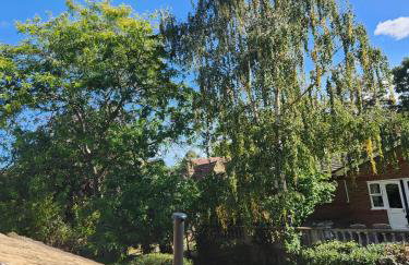 Cosy Suite with Private Access in London Putney - Foto 9