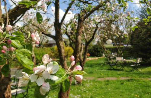 Altendorfer Vorwerk - Ferienapartments - Foto 76