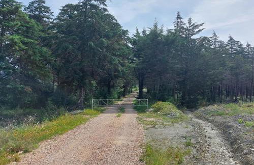 Moinho do Cubo - Foto 20