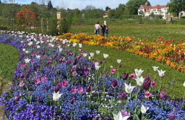 Schöne Wohnung in der Altstadt - Foto 66