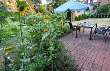 Dom Colonia - Foto 3