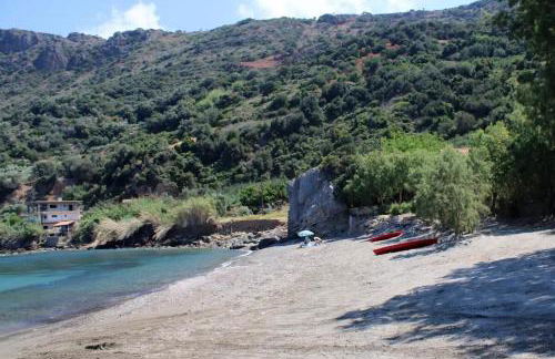 House just on the beach -included 2 canoe and 2 bicycles - Foto 47